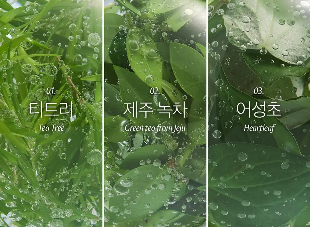 [여드름 기능성/피지케어] 블랑네이처 아크네 클렌징 폼 단품/기획 상세페이지 31